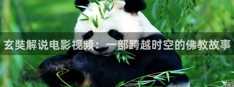 理论片西瓜影院电影：玄奘解说电影视频：一部跨越时空的佛教故事