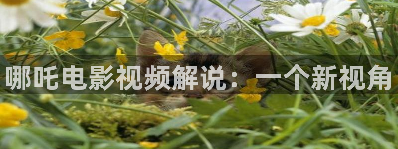 免费观看西瓜电影：哪吒电影视频解说：一个新视角