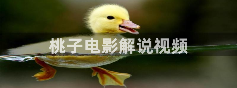 滤镜电视剧免费观看全集高清西瓜：桃子电影解说视频