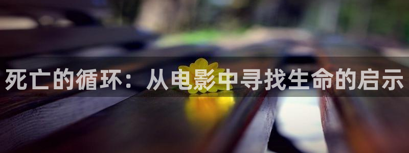 西瓜被窝电影院：死亡的循环：从电影中寻找生命的启示