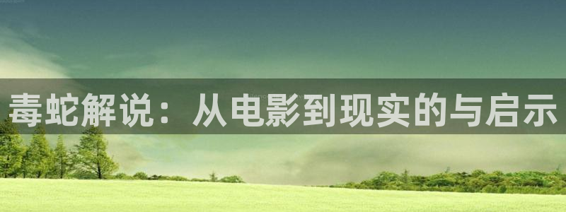 宁都西瓜：毒蛇解说：从电影到现实的与启示