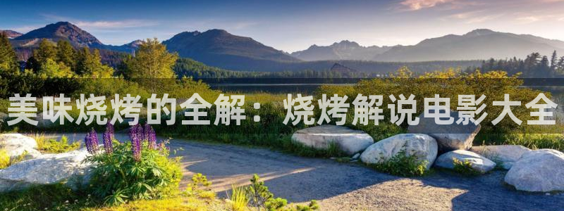 西瓜影视：美味烧烤的全解：烧烤解说电影大全