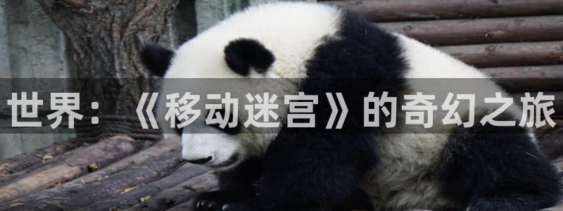 西瓜免费影视剧：世界：《移动迷宫》的奇幻之旅