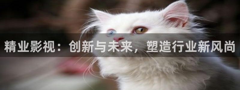 西瓜理论片在线看免费：精业影视：创新与未来，塑造行业新风尚