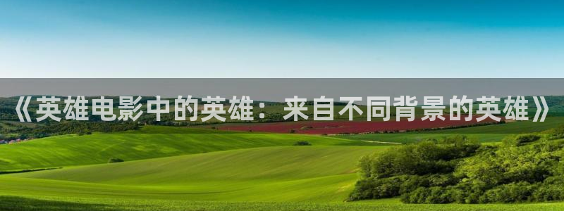 半是蜜糖半是伤免费观看西瓜影院：《英雄电影中的英雄：来自不同背景的英雄》