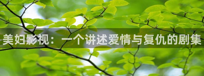 大同西瓜：美妇影视：一个讲述爱情与复仇的剧集