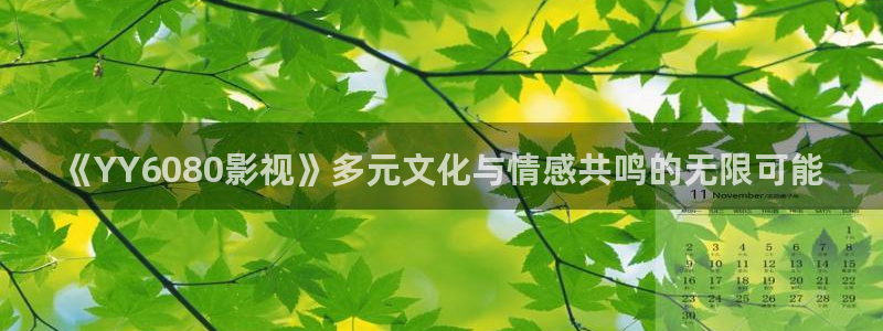 西瓜影院91：《YY6080影视》多元文化与情感共鸣的无限可能