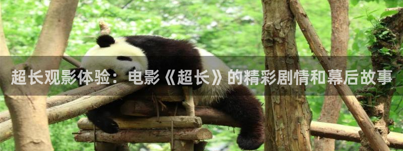 神马西瓜影院：超长观影体验：电影《超长》的精彩剧情和幕后故事