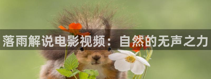 西瓜影院韩国理论影片：落雨解说电影视频：自然的无声之力