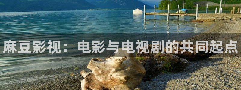 西瓜播放器免费高清在线电影：麻豆影视：电影与电视剧的共同起点