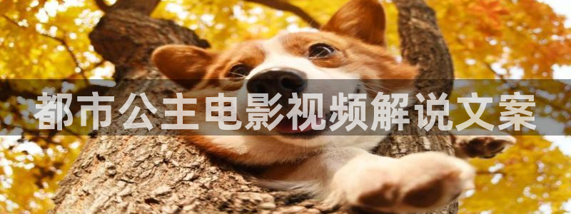 电视剧青春无季免费观看西瓜：都市公主电影视频解说文案