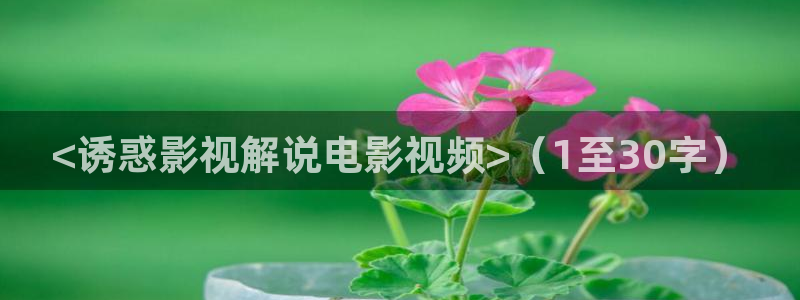 电视剧念念免费观看西瓜：<诱惑影视解说电影视频>（1至30字）