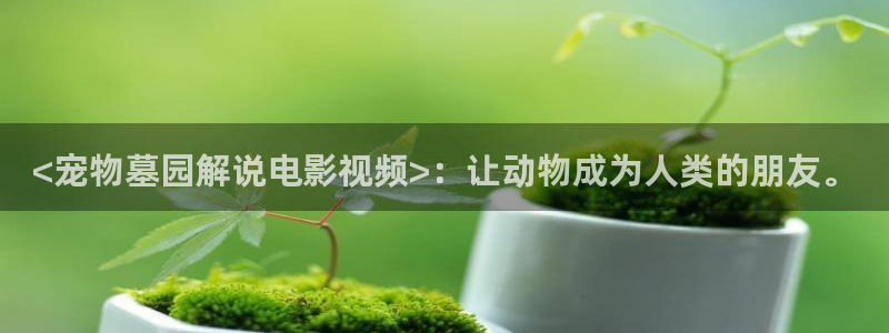 西瓜影院免费在线观看：<宠物墓园解说电影视频>：让动物成为人类的朋友。