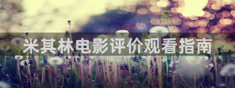 西瓜电影在线：米其林电影评价观看指南