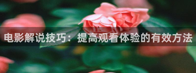 西瓜视频最新版：电影解说技巧：提高观看体验的有效方法
