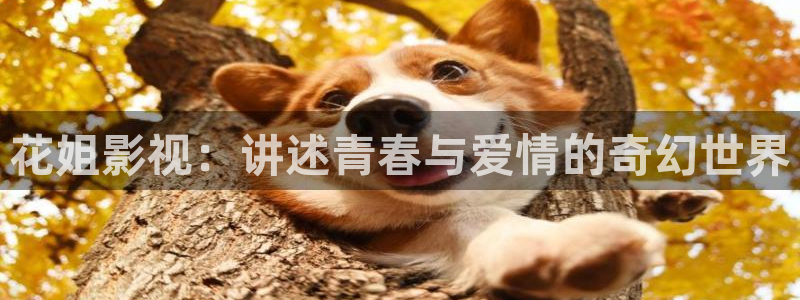 神马影院西瓜影院：花姐影视：讲述青春与爱情的奇幻世界