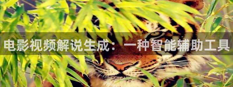 西瓜视频在线观：电影视频解说生成：一种智能辅助工具
