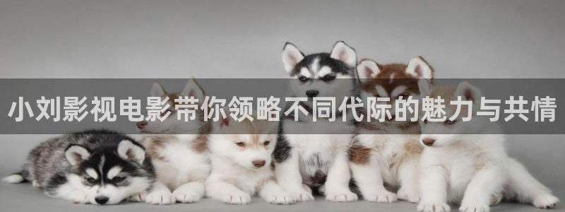 西瓜影院在线观看电影：小刘影视电影带你领略不同代际的魅力与共情