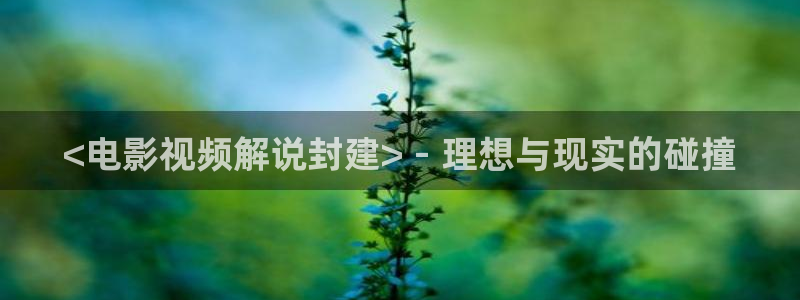 西瓜影院2026：<电影视频解说封建> - 理想与现实的碰撞