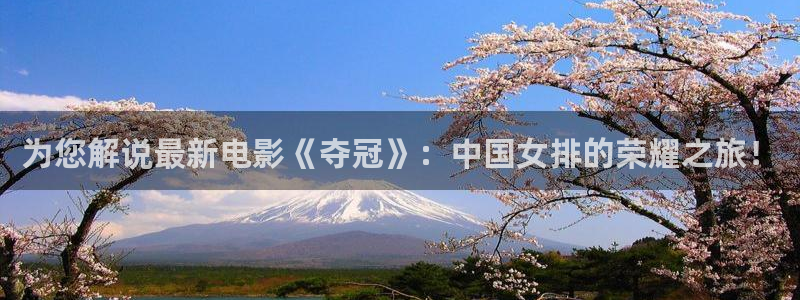 西瓜影院 免费观看：为您解说最新电影《夺冠》：中国女排的荣耀之旅！