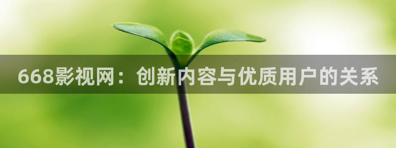 东莞西瓜：668影视网：创新内容与优质用户的关系
