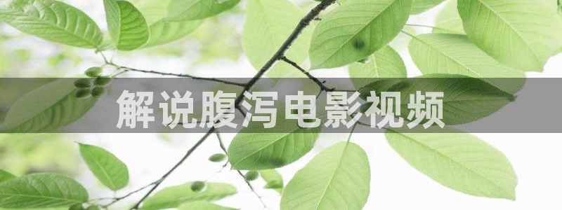 长安少年行在线观看免费西瓜：解说腹泻电影视频