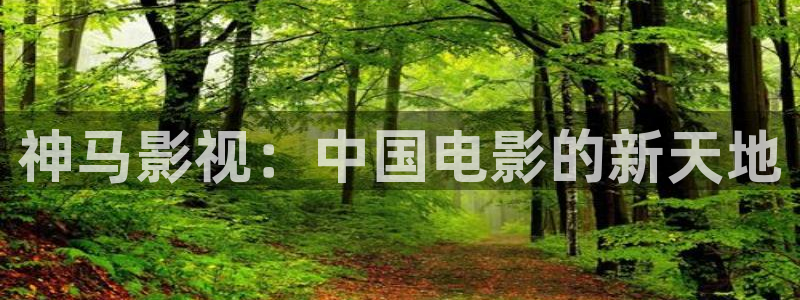 西瓜视频免费在线看：神马影视：中国电影的新天地