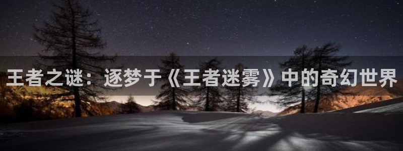 空中飞人徐锦江版免费观看西瓜：王者之谜：逐梦于《王者迷雾》中的奇幻世界