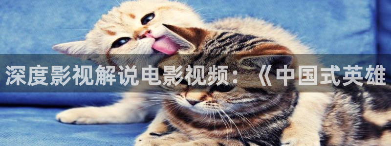 西瓜影院官网：深度影视解说电影视频：《中国式英雄