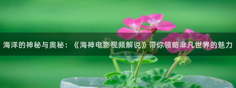 西瓜电影解说：海洋的神秘与奥秘：《海神电影视频解说》带你领略非凡世界的魅力