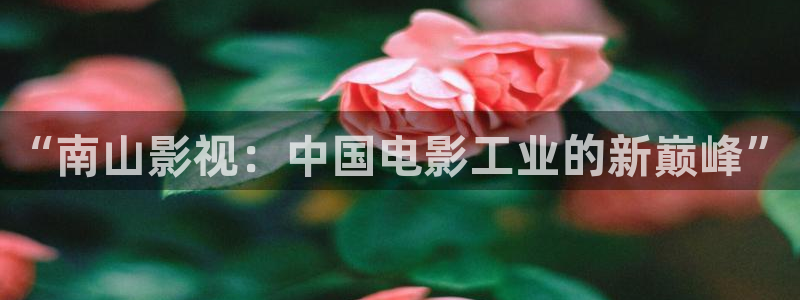 西瓜江苏东台：“南山影视：中国电影工业的新巅峰”