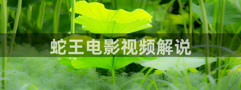西瓜影院理论电影理论片未删减：蛇王电影视频解说