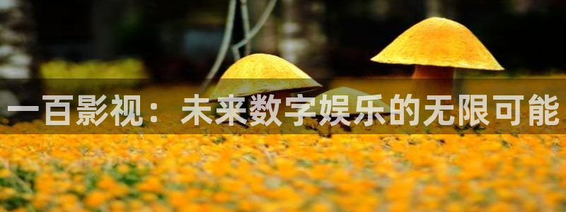 西瓜电影免费入口：一百影视：未来数字娱乐的无限可能